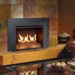 Avalon Gas Fireplace Insert